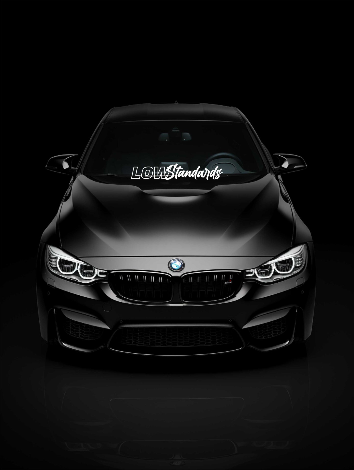 ''Low Standarts'' - Plotted Vinyl Banner Decal