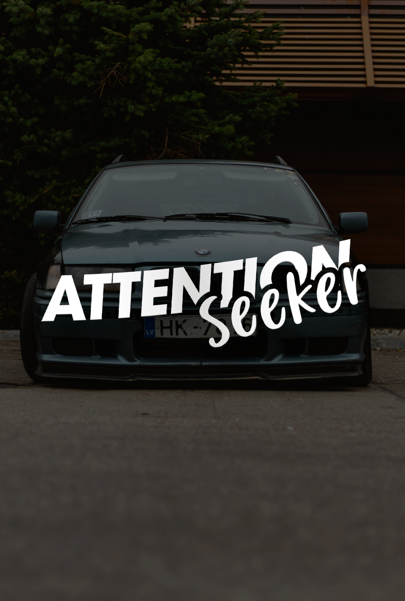 Attention Seeker - Plotted Vinyl Sticker