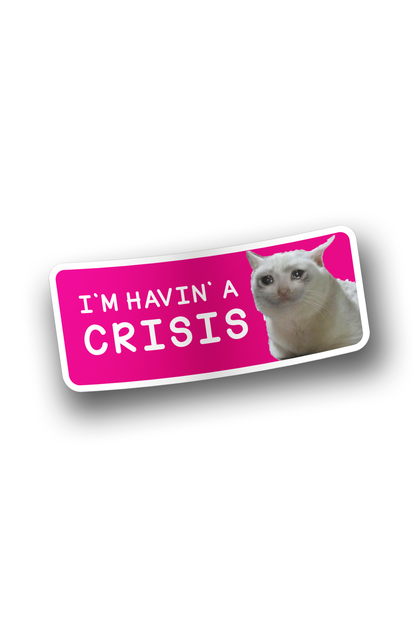 ''I`m Havin` a Crisis'' Vinyl Sticker
