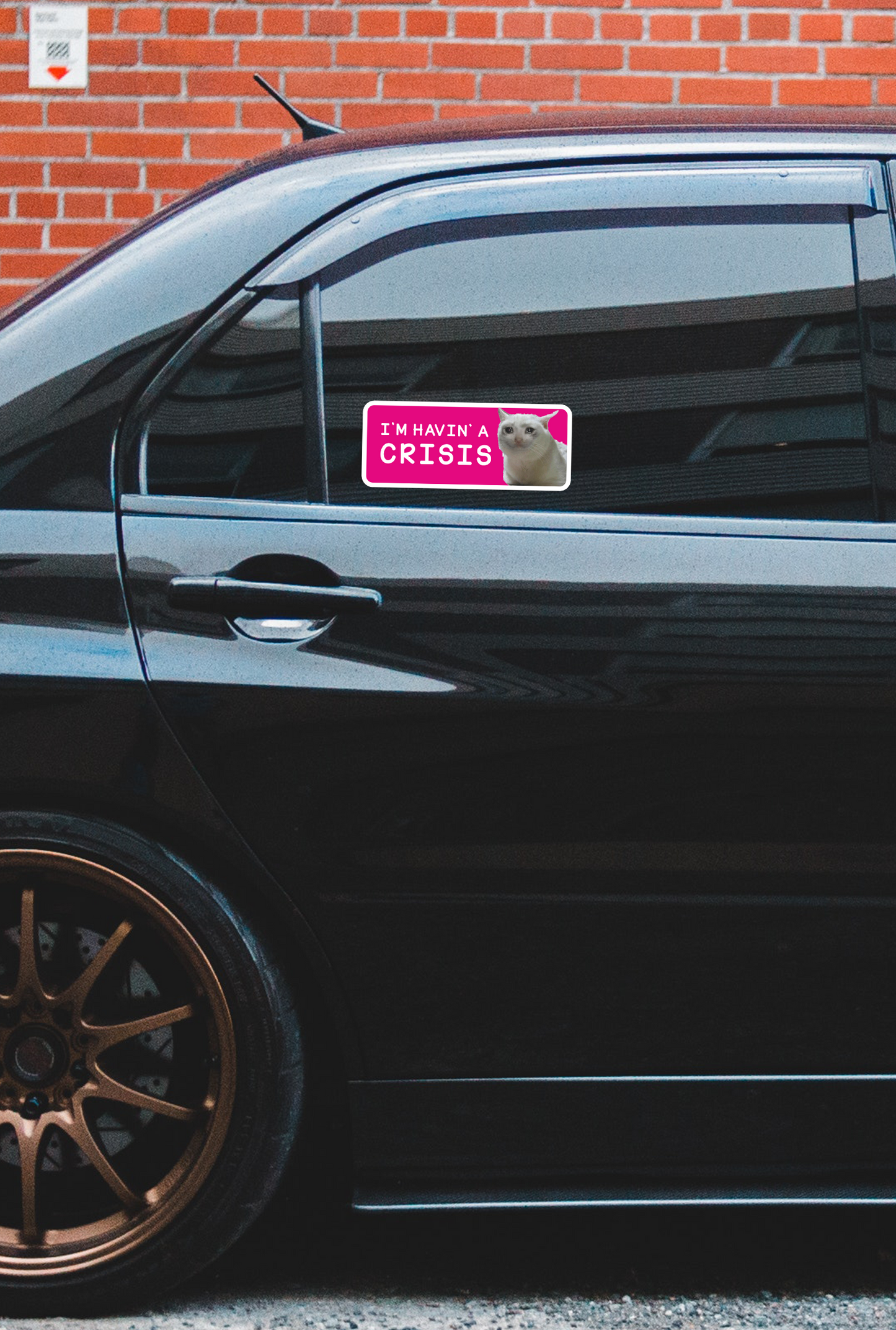 ''I`m Havin` a Crisis'' Vinyl Sticker