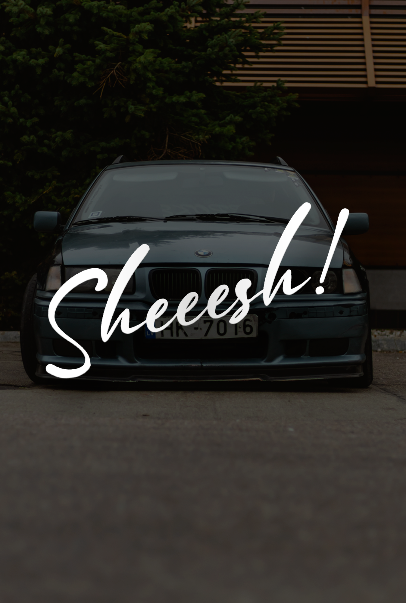 Sheeesh - Plotted Vinyl Sticker