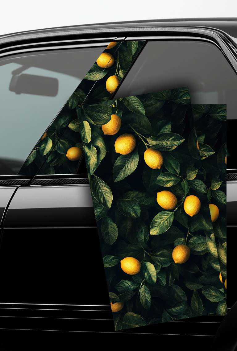 ''Lemons'' - Car Doors Pillar Decals