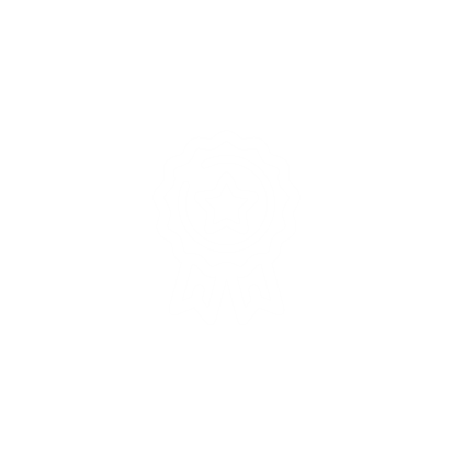 Product image with a clear background