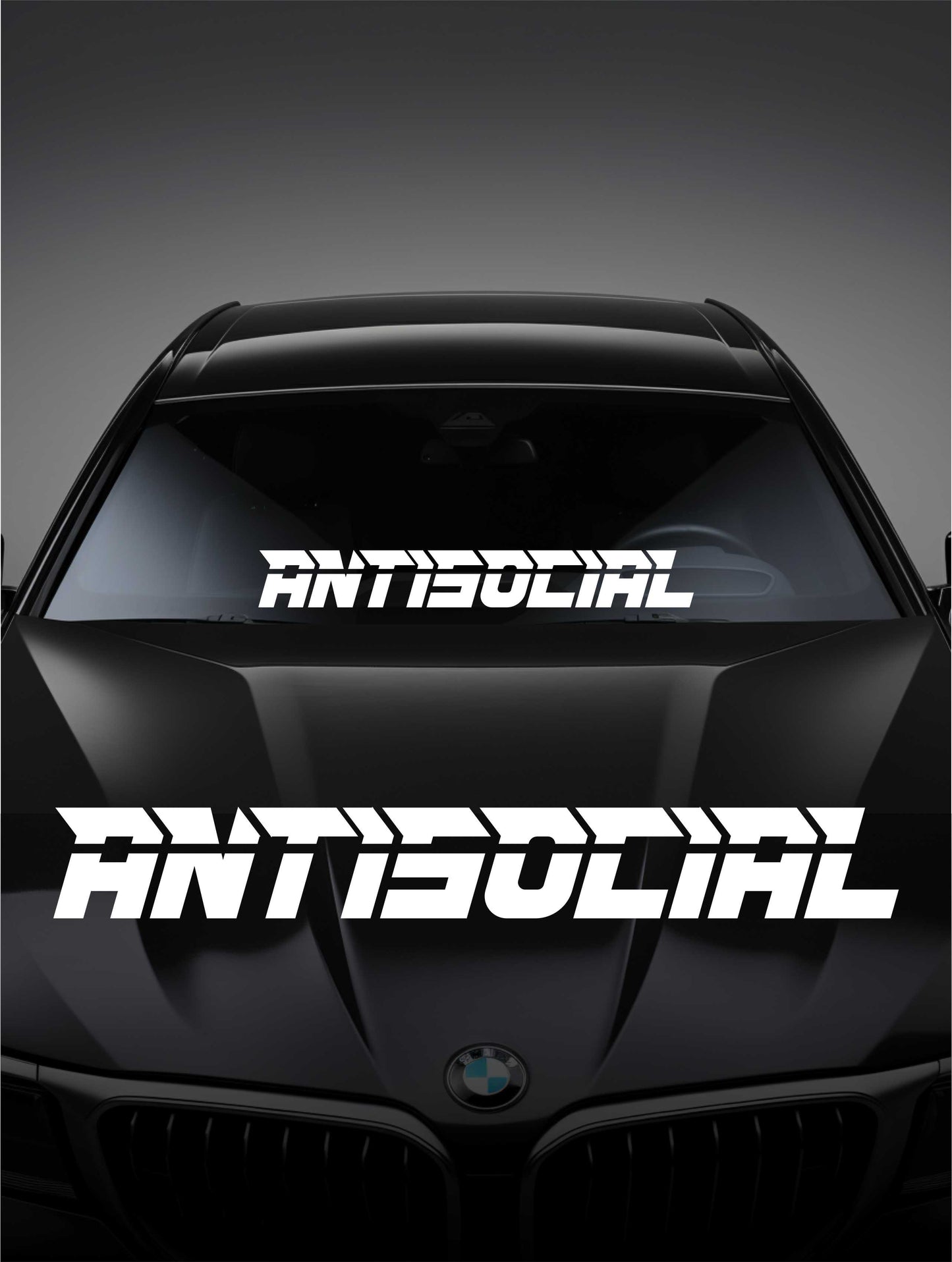 ''Antisocial No.2'' - Plotted Vinyl Banner Decal