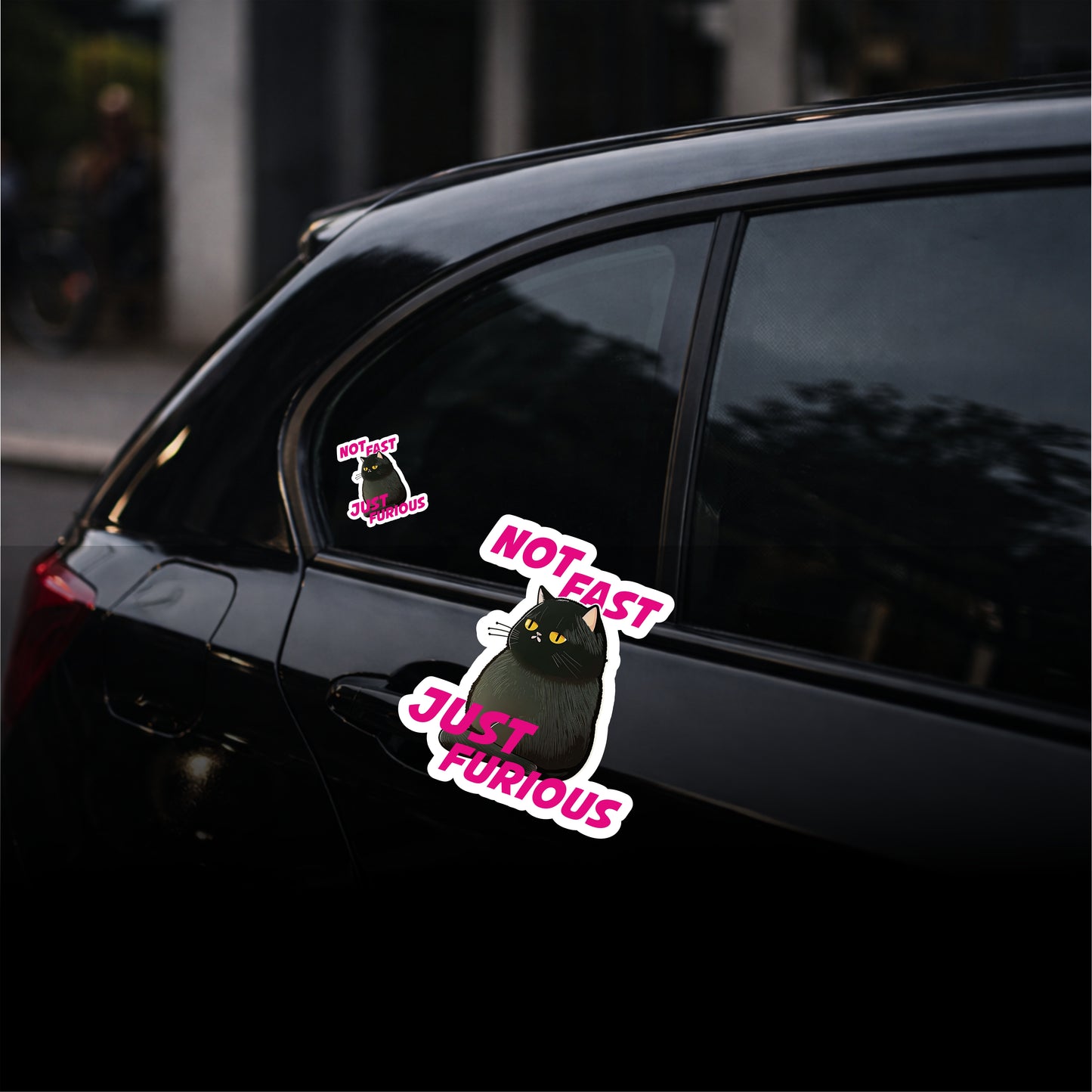 Car window with humorous cat-themed stickers on a dark background