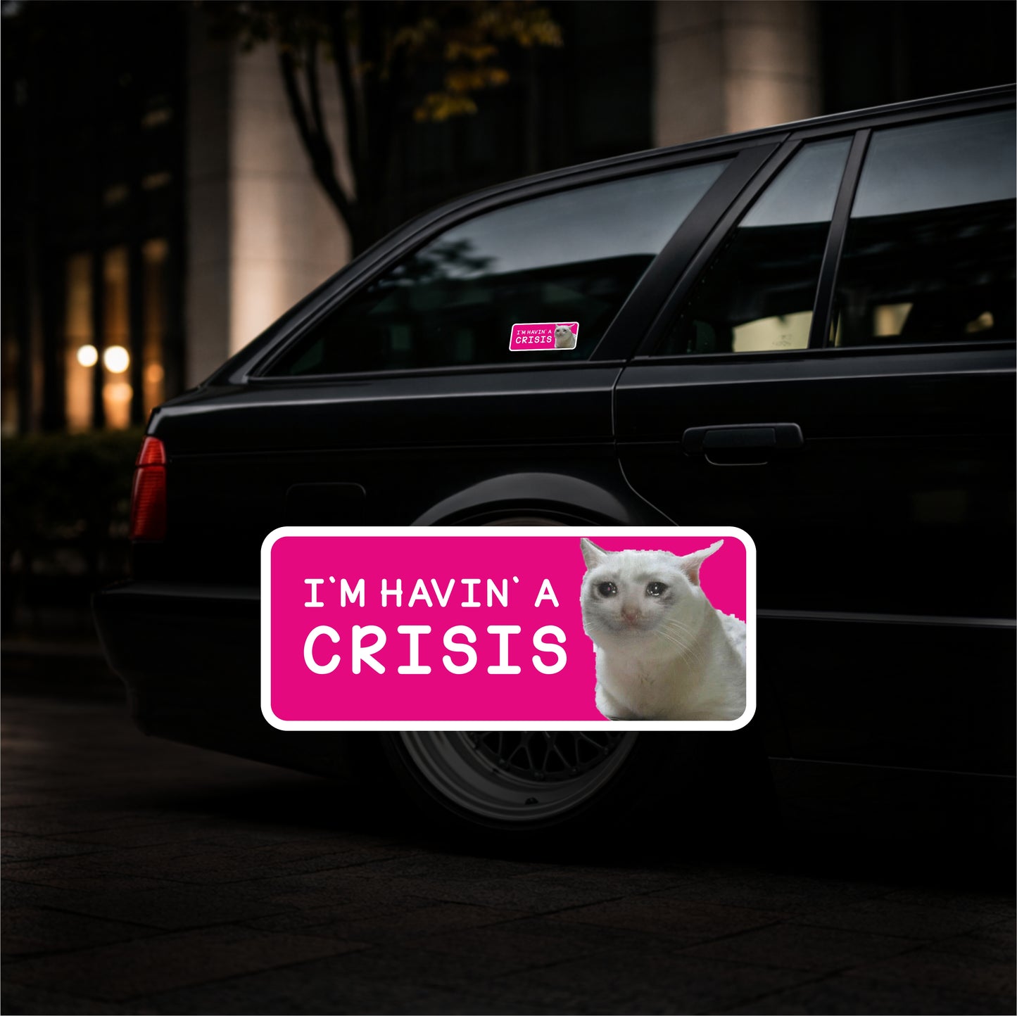 I`m Havin` a Crisis - Vinyl Sticker