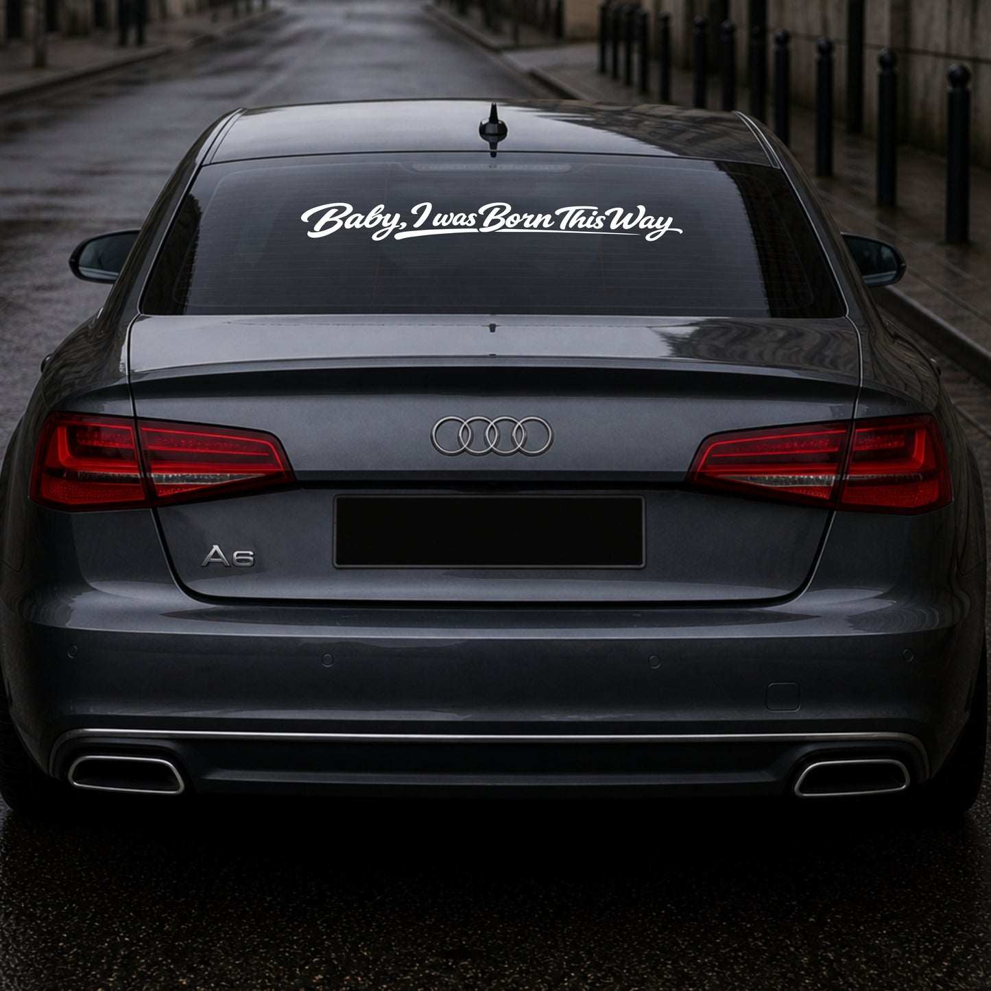 BABY, I WAS BORN THIS WAY  - Plotted Vinyl Banner Decal