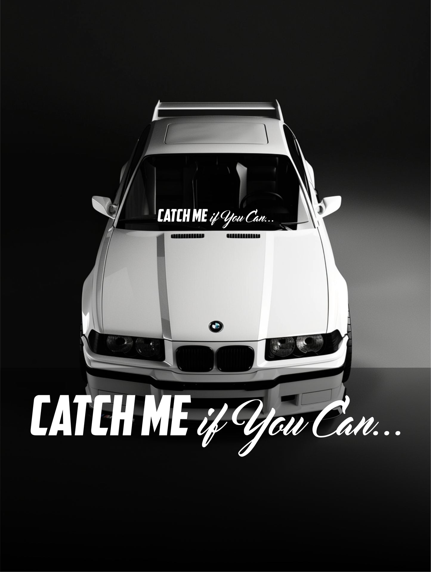 ''Catch Me if you can'' - Plotted Vinyl Banner Decal