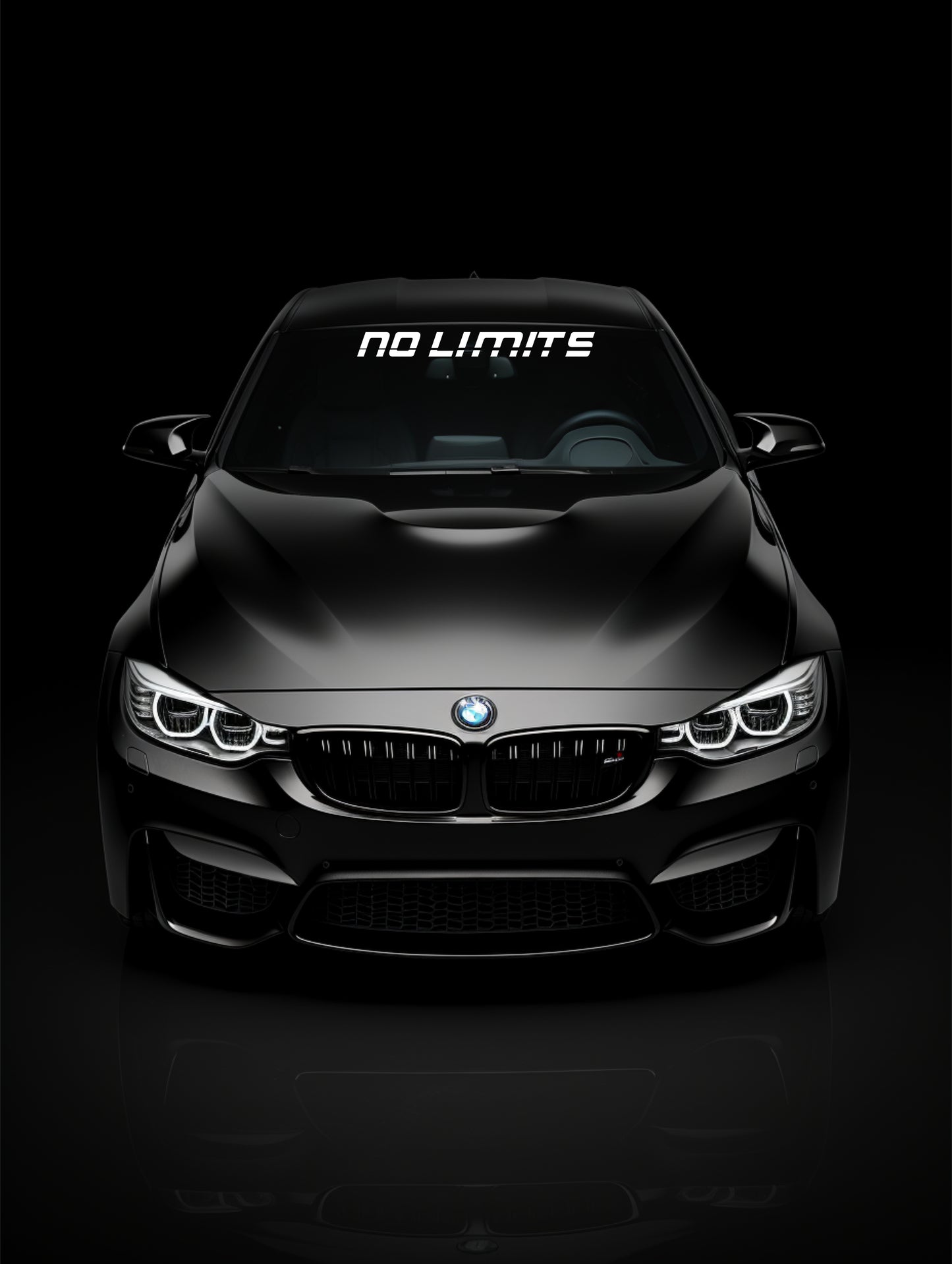 ''No Limits'' - Plotted Vinyl Banner Decal