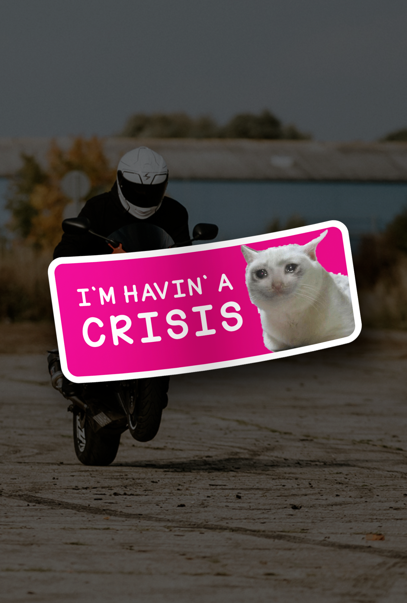 ''I`m Havin` a Crisis'' Vinyl Sticker